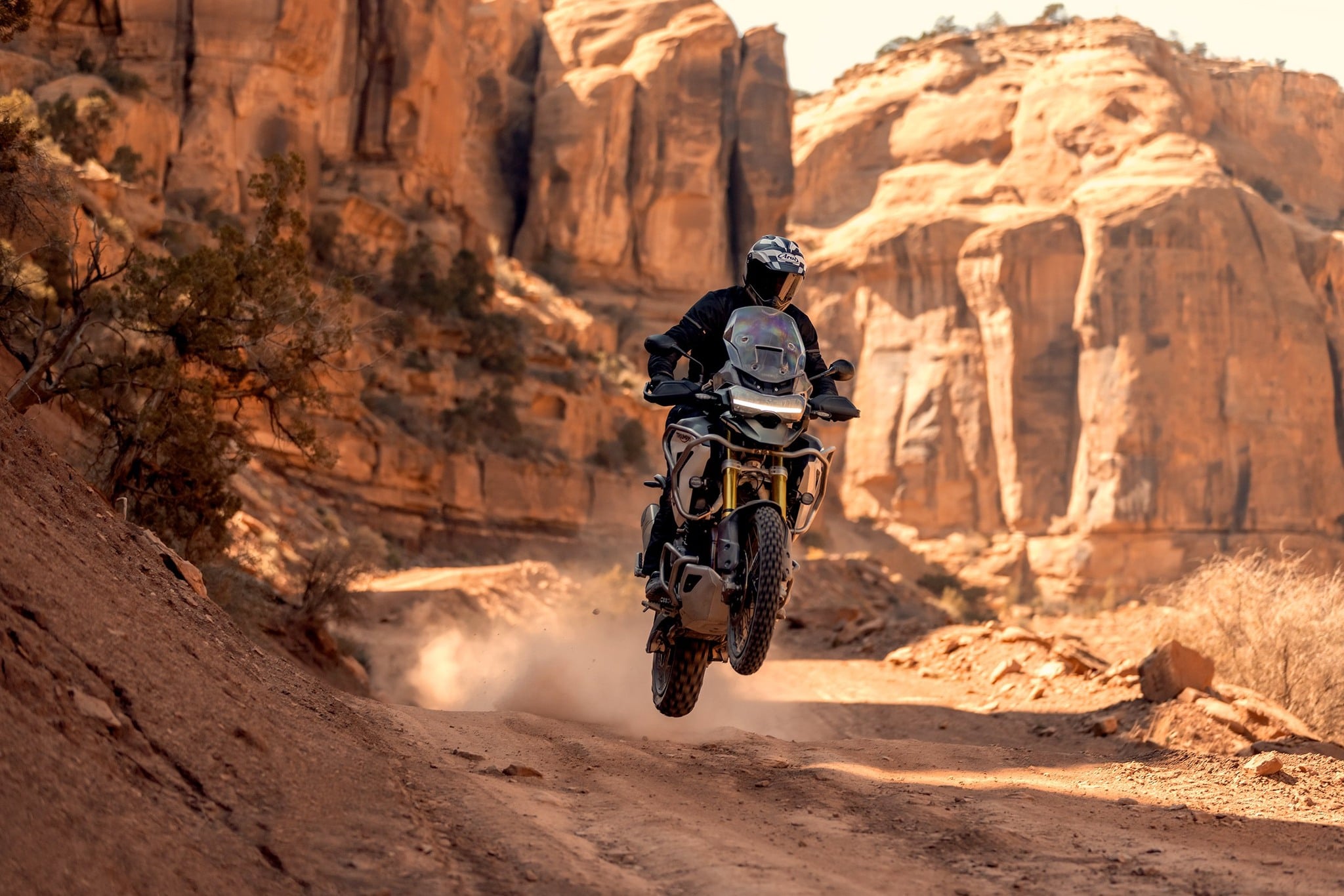 2023 Triumph Tiger 1200