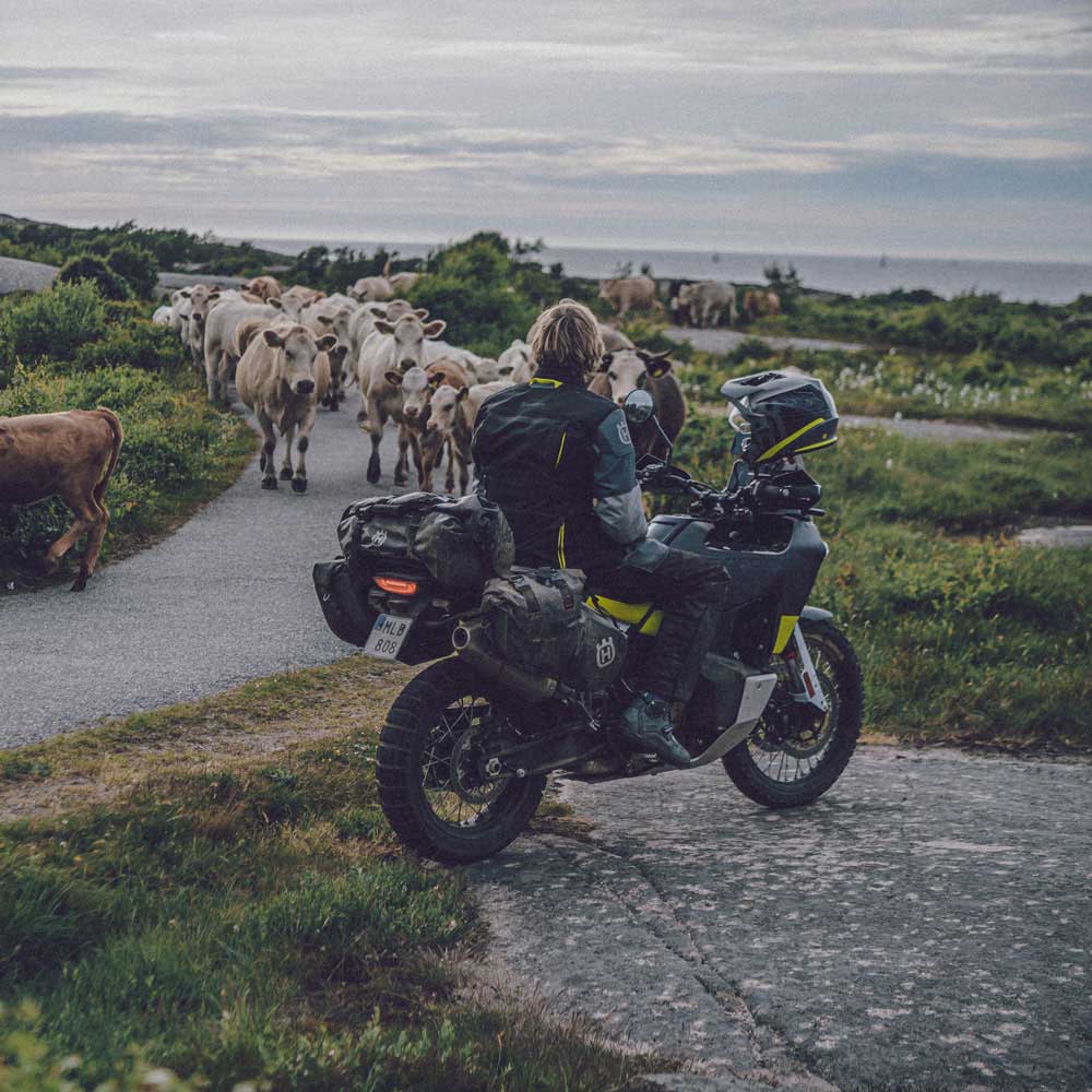 Husqvarna Norden 901